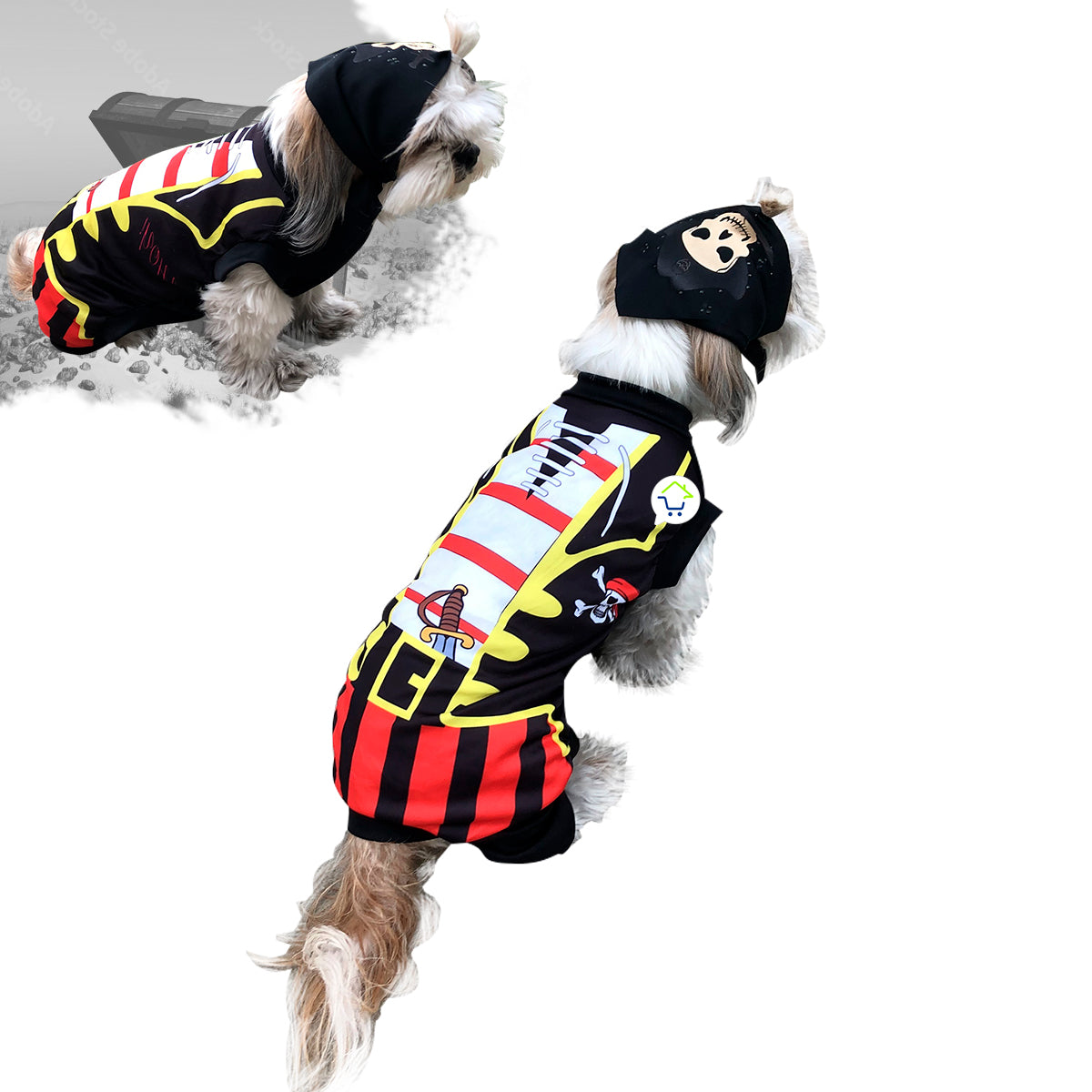 DISFRACES HALLOWEEN PARA MASCOTAS