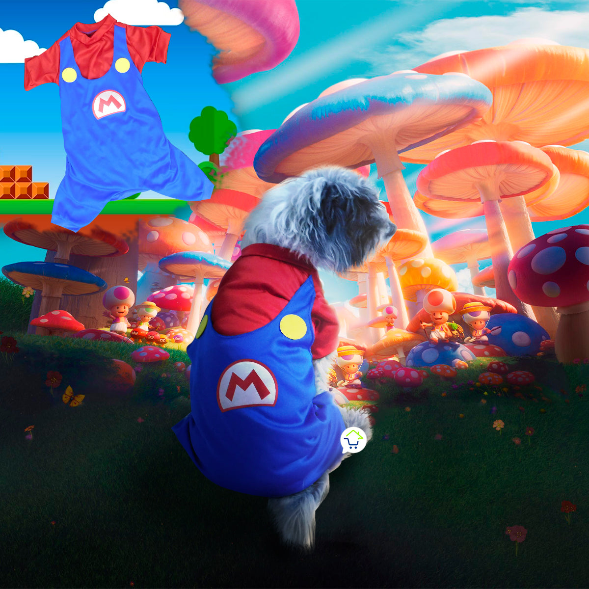 DISFRACES HALLOWEEN PARA MASCOTAS