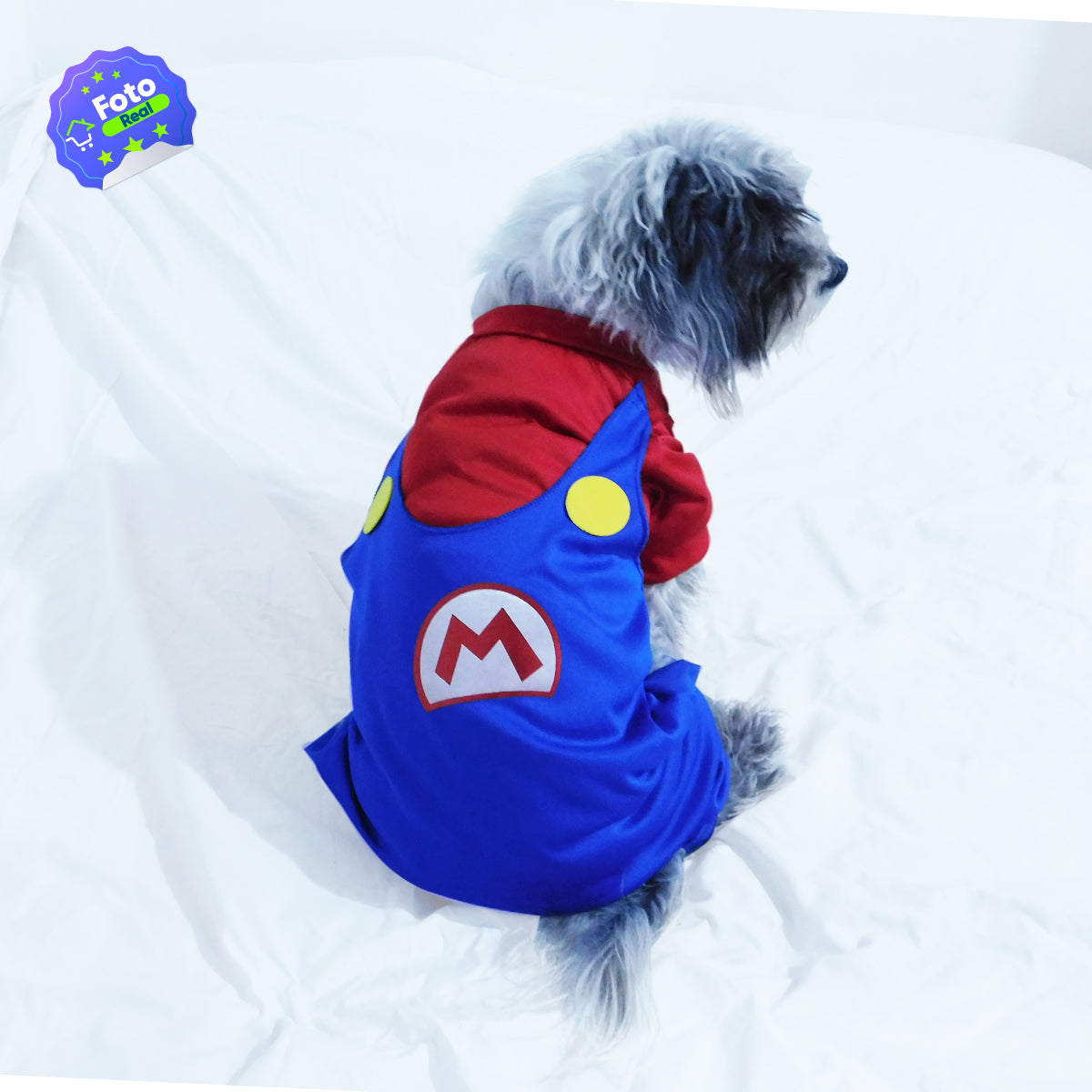 DISFRACES HALLOWEEN PARA MASCOTAS