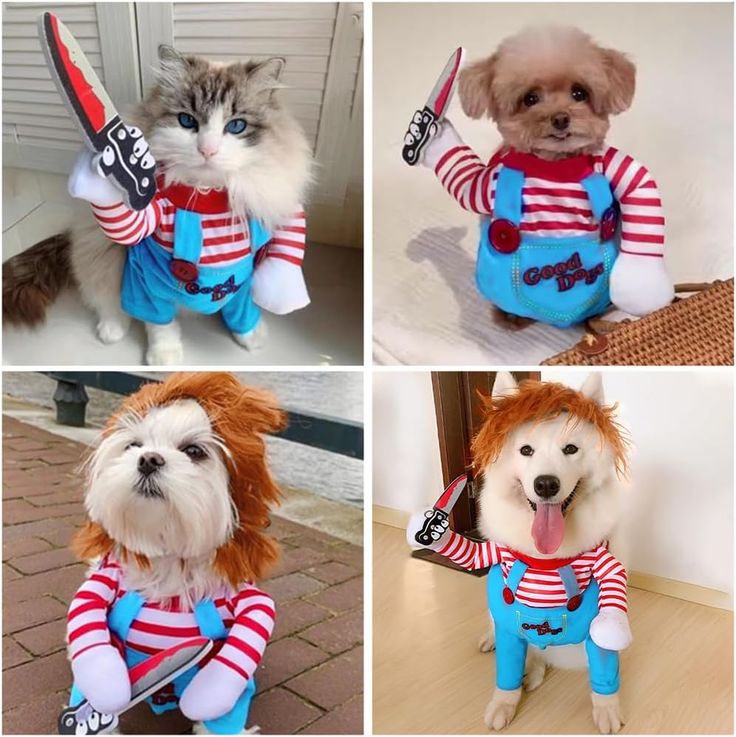 DISFRACES HALLOWEEN PARA MASCOTAS