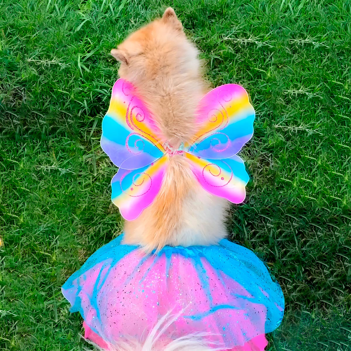 DISFRACES HALLOWEEN PARA MASCOTAS